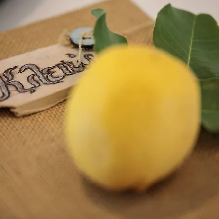 Апартаменты Aeolos Sustainable Living