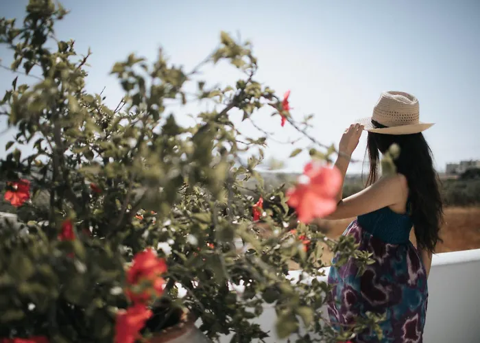 Aeolos Sustainable Living * Agkidia